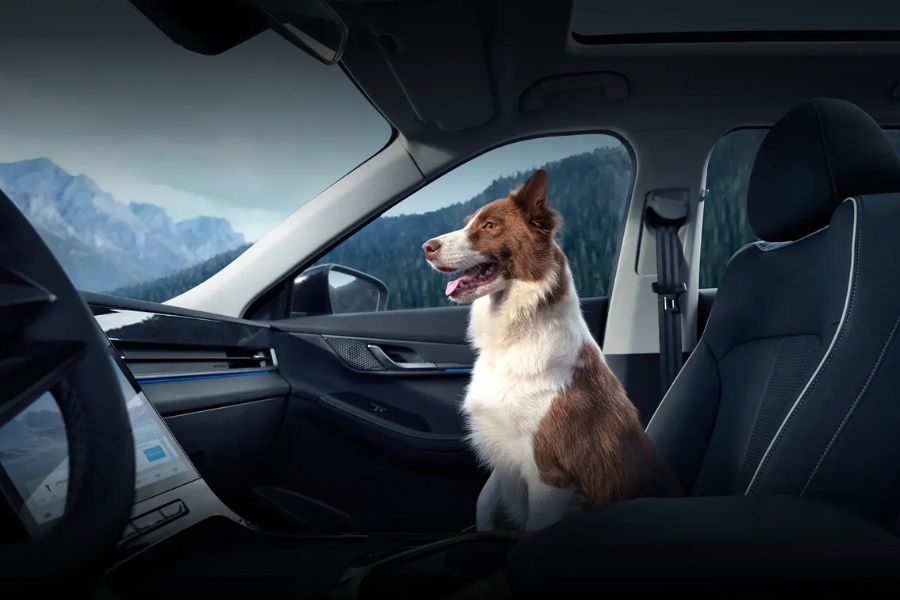 Chế độ Pet Mode giúp duy trì không gian mát mẻ, thoải mái để thú cưng luôn dễ chịu trong suốt hành trình.