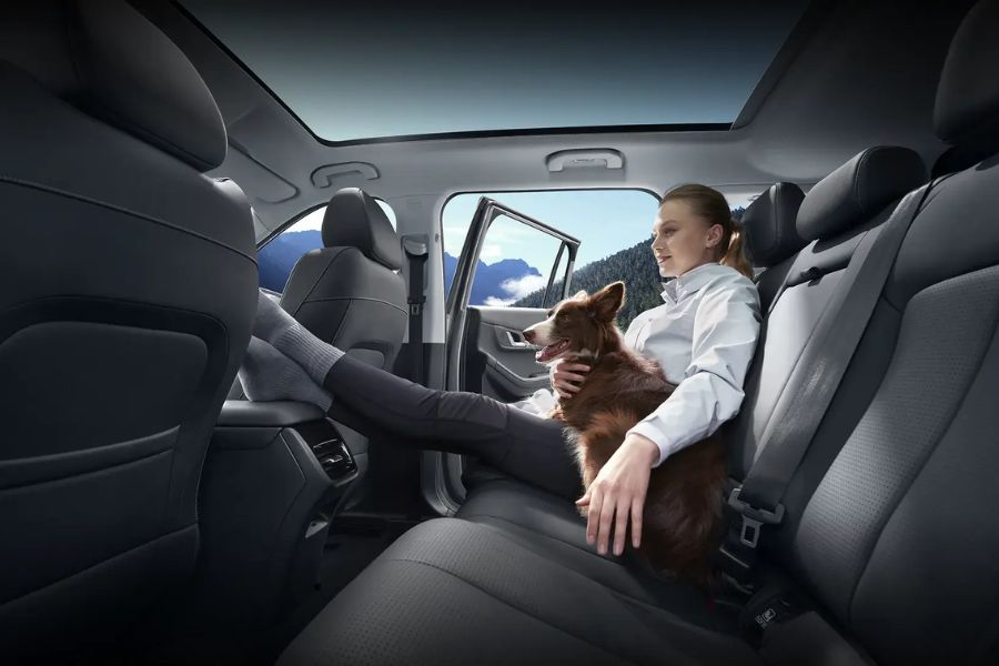 Chất liệu Super EcoLeather Skin kháng khuẩn đạt tiêu chuẩn ISO 22196-2011, với khả năng ức chế vi khuẩn hơn 99,9%.
